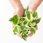 Ô nhiễm môi trường và những con số bạn không ngờ tới?!